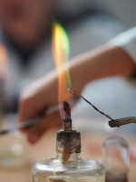 /album/a88/p1010007-small-jpg17/